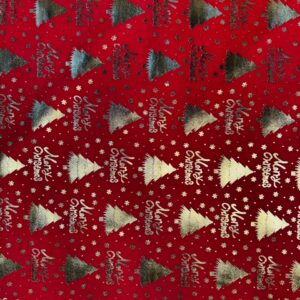 NAVIDEÑO CON BRILLO - 06